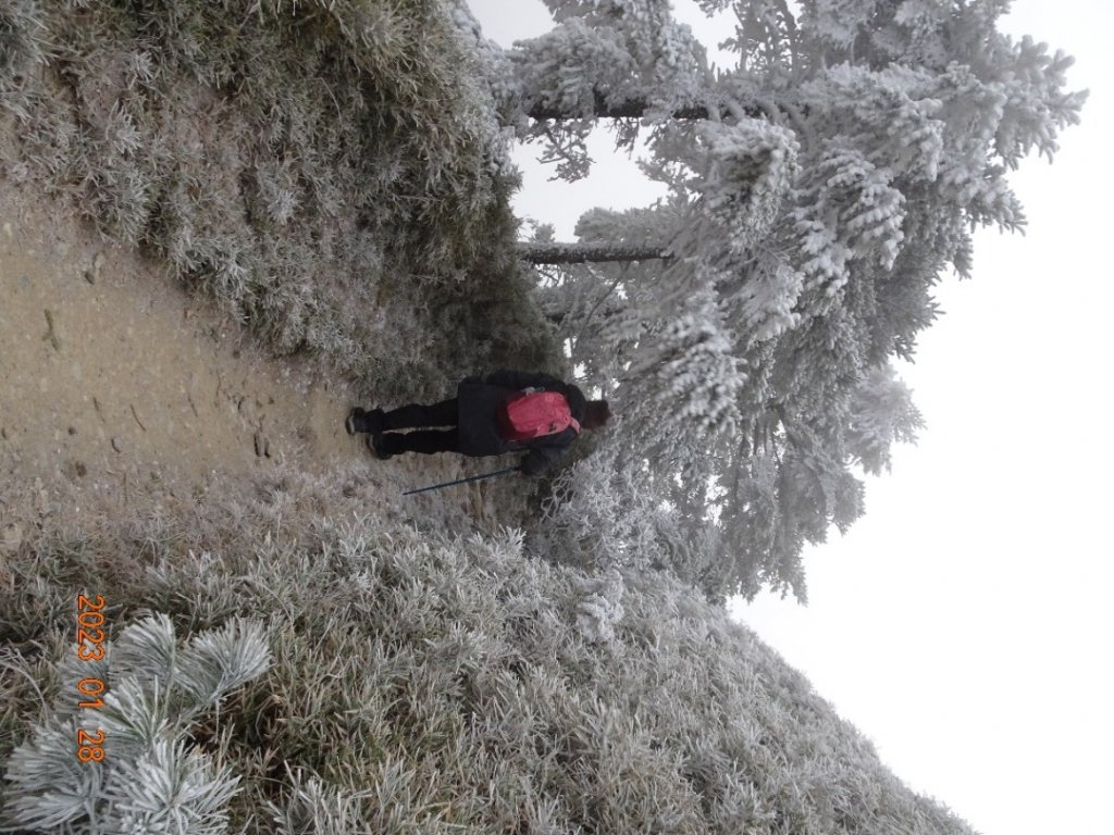 白色南華山_2019713