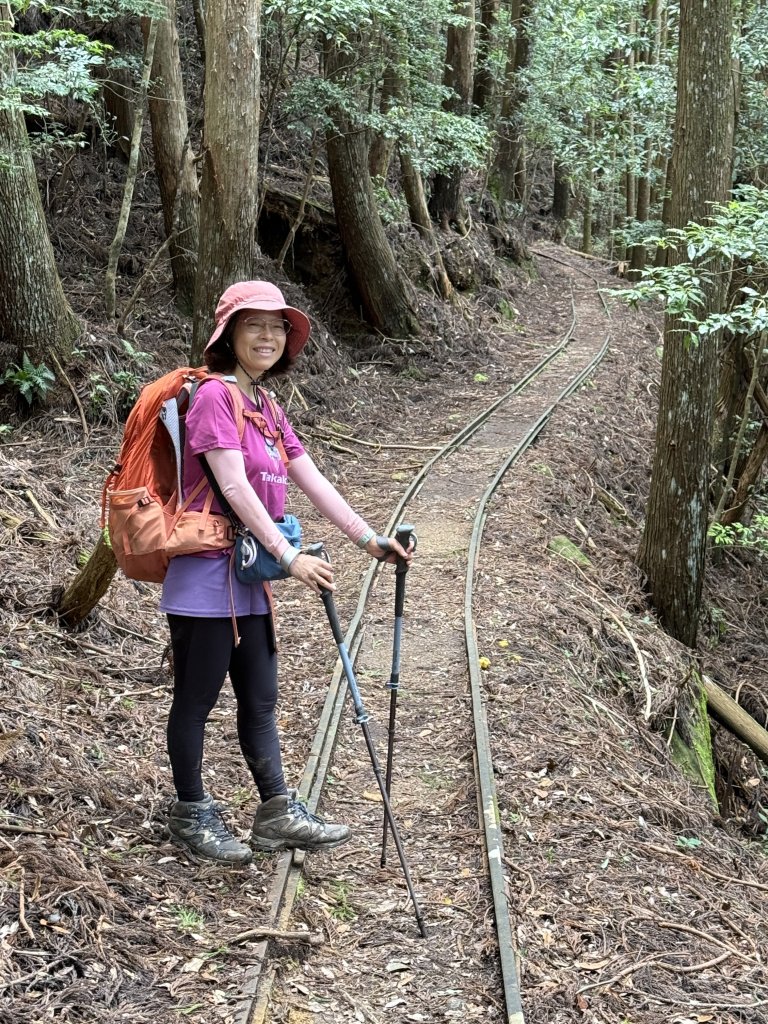 加里山O繞20250713(大坪登山口-杜鵑嶺-加里山-避難小屋-大坪登山口)_2836926