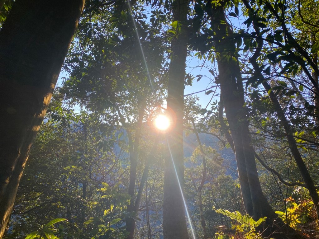 向天湖山_2604209