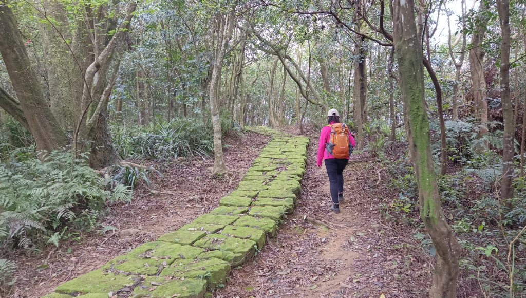 (姨婆趴趴走)第四十七集:新北土城大暖坑山等諸峰攀登連走_2738790