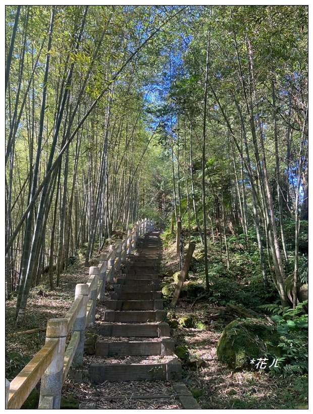 鳳凰谷步道(鹿谷鄉)封面圖