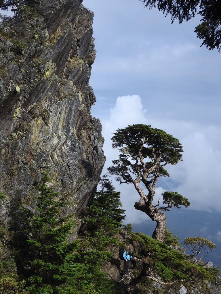 20180630武陵-池有山-新達山屋_361213