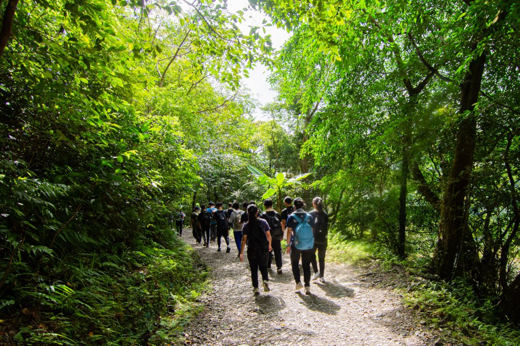 抹茶山_1508503