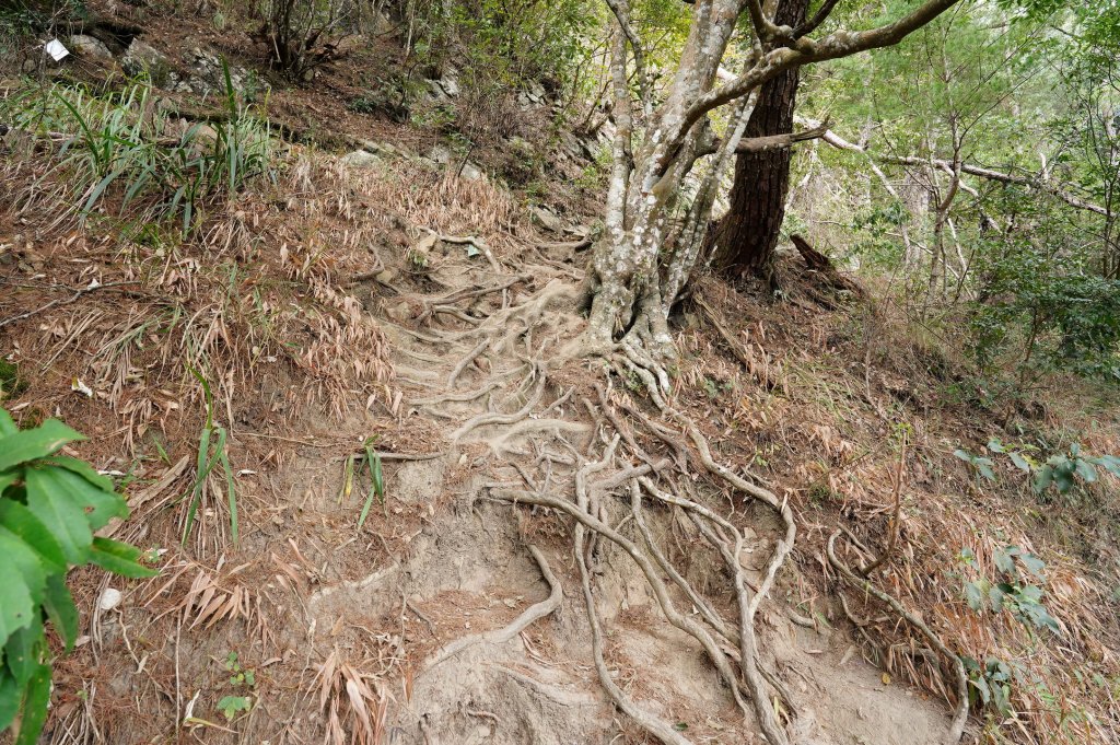 台中 和平 東卯山_2674491