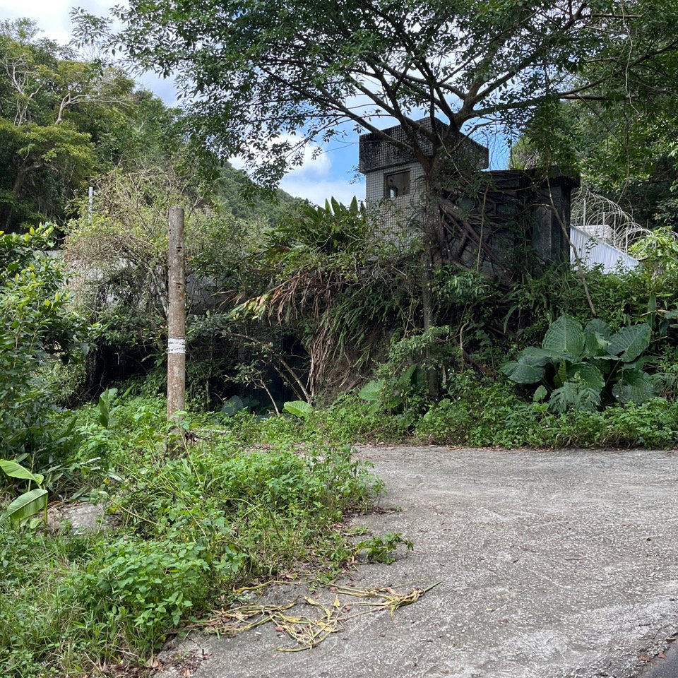 20231118_鵲子山步道（宜蘭小百岳）封面圖