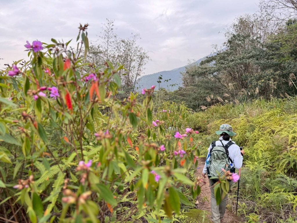 🌈3/29（六）巴蜈縱走~FB：熊熊趴爬走🌈_2749771
