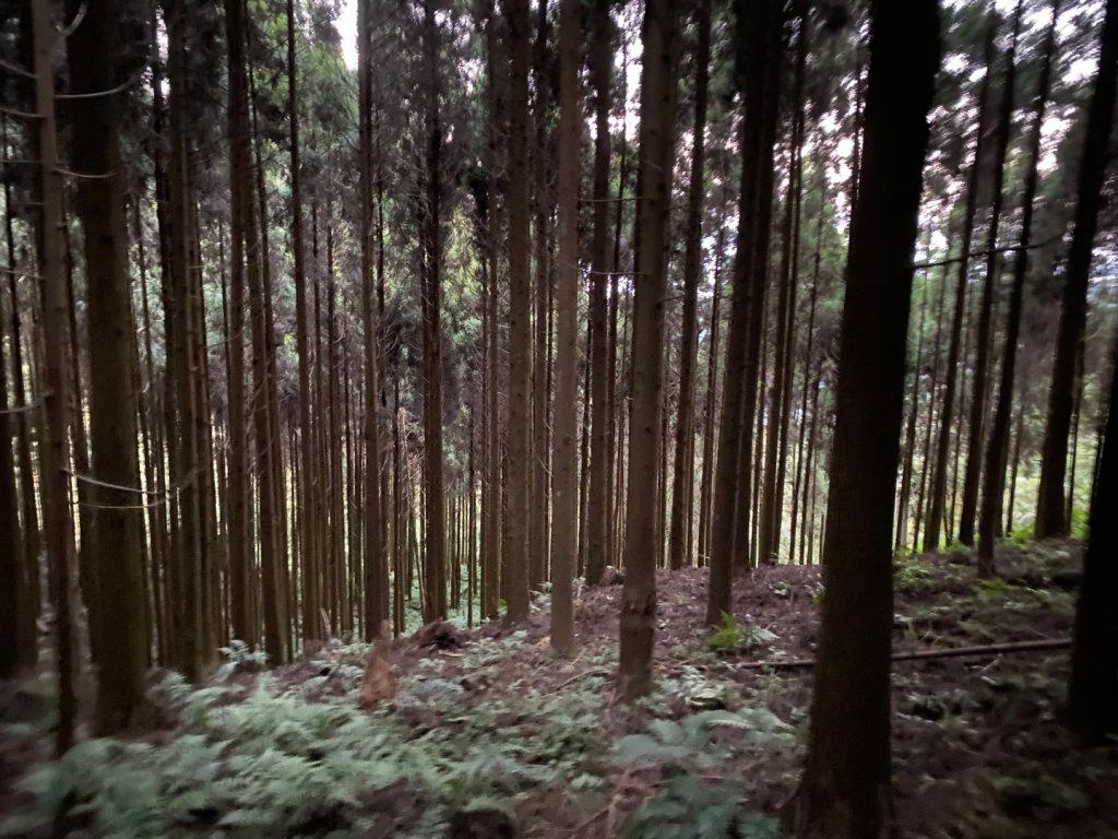 向天湖山_2604195