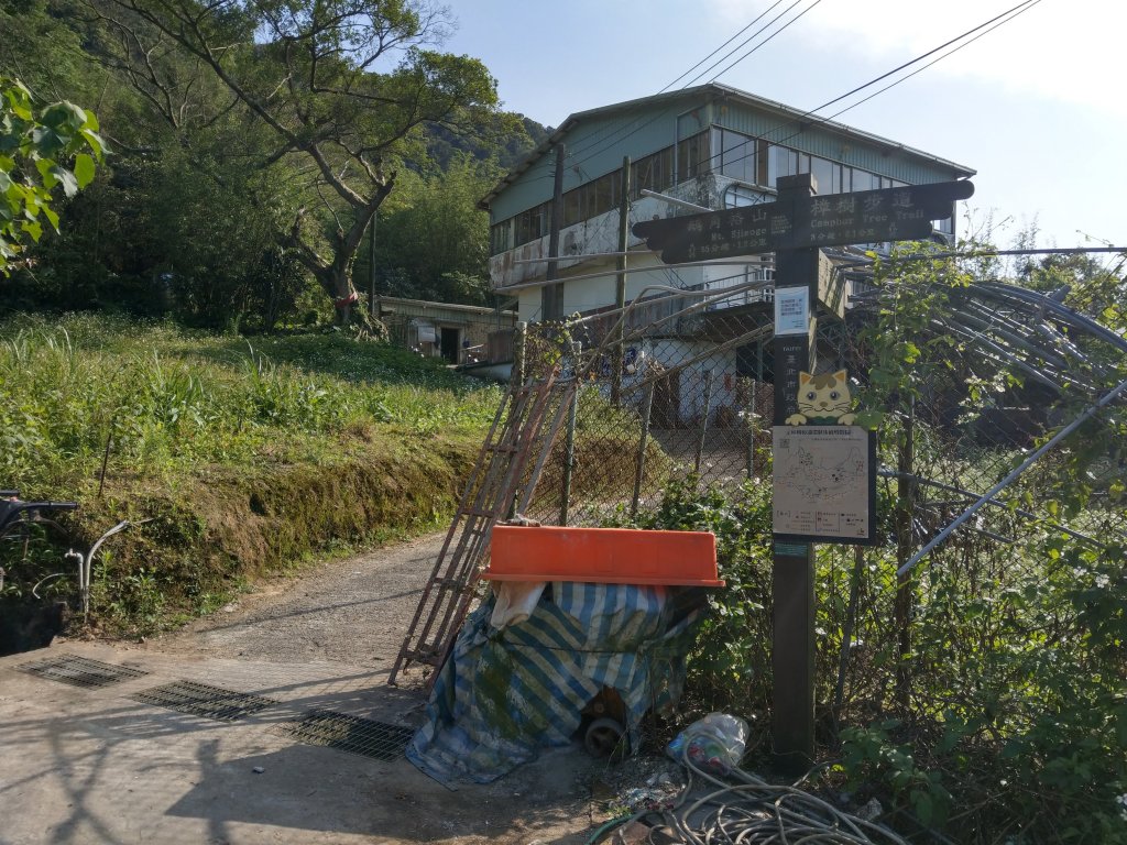 貓空隨意行［樟湖步道、待老坑山、杏花林、明德宮、樟山寺］及政大小坑溪親水文學步道(2021/4/6)_1417875