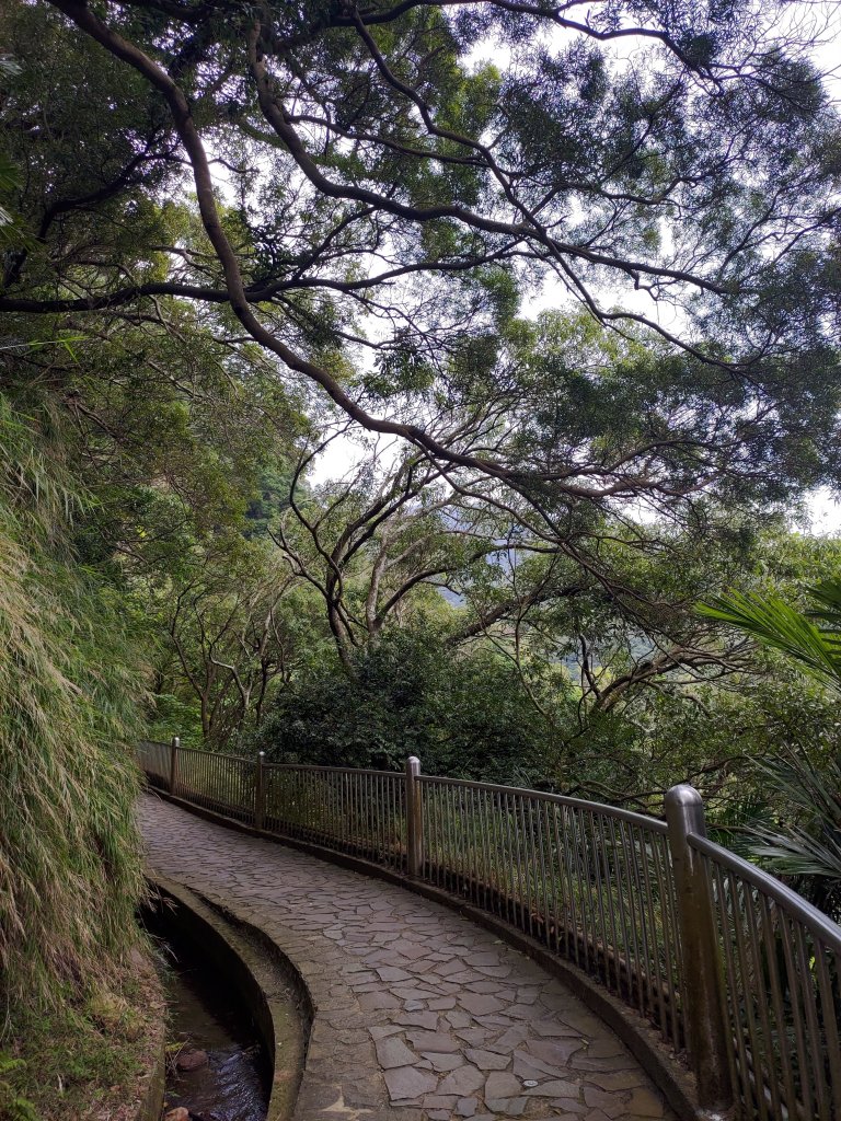 台北大縱走第一段-關渡→二子坪_2007686