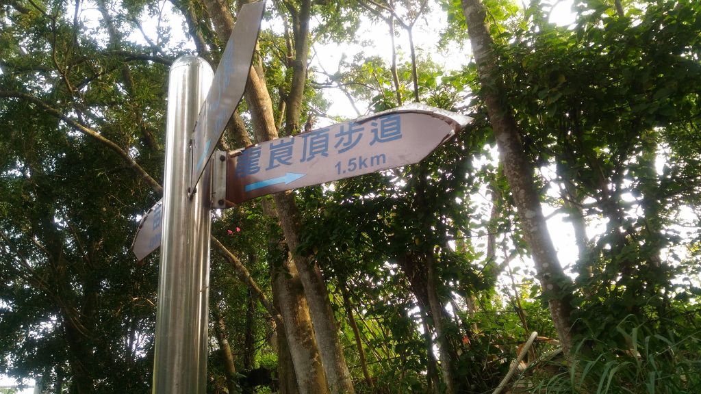 龍峎頂步道封面圖