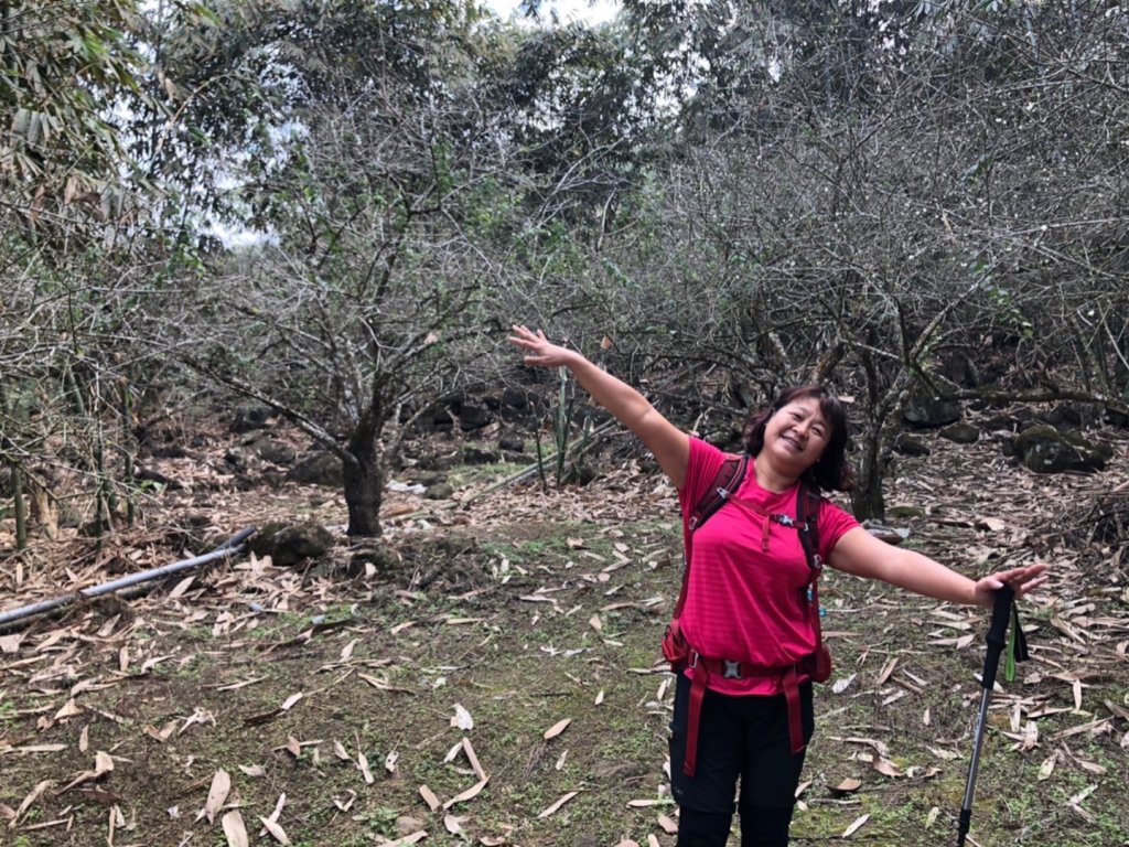 三腳南山、難山傻傻分不清楚_1240992