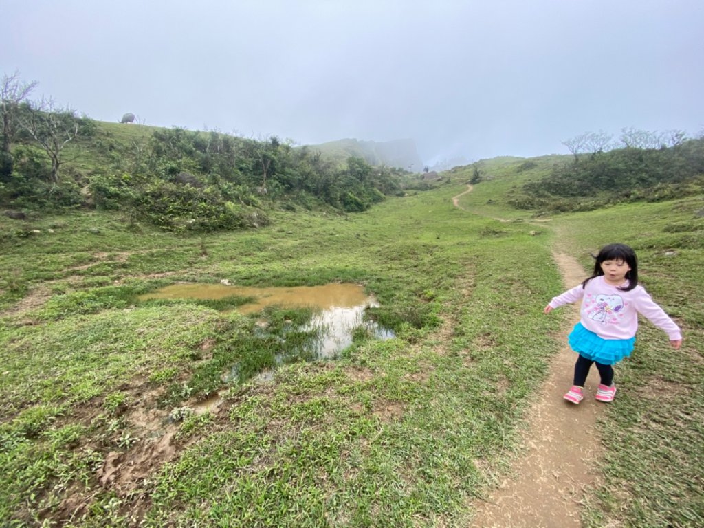 20200301桃源谷步道內寮線_868945