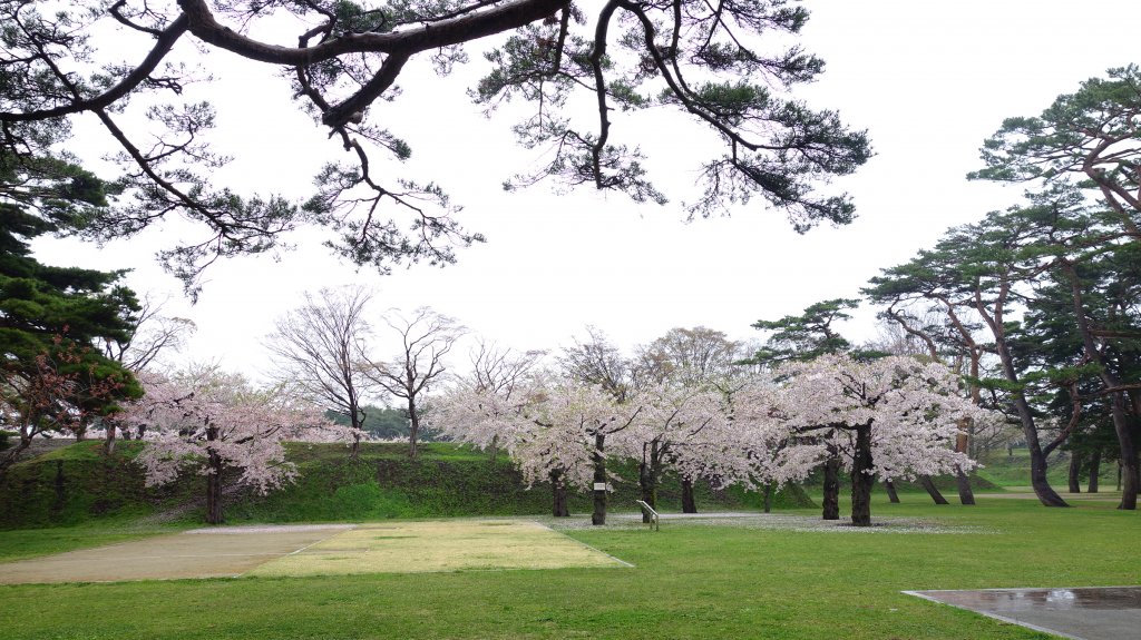 北海道五陵郭公園_769611