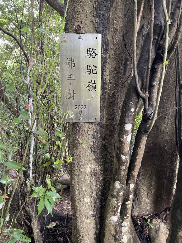 觀音山秘境_2634048