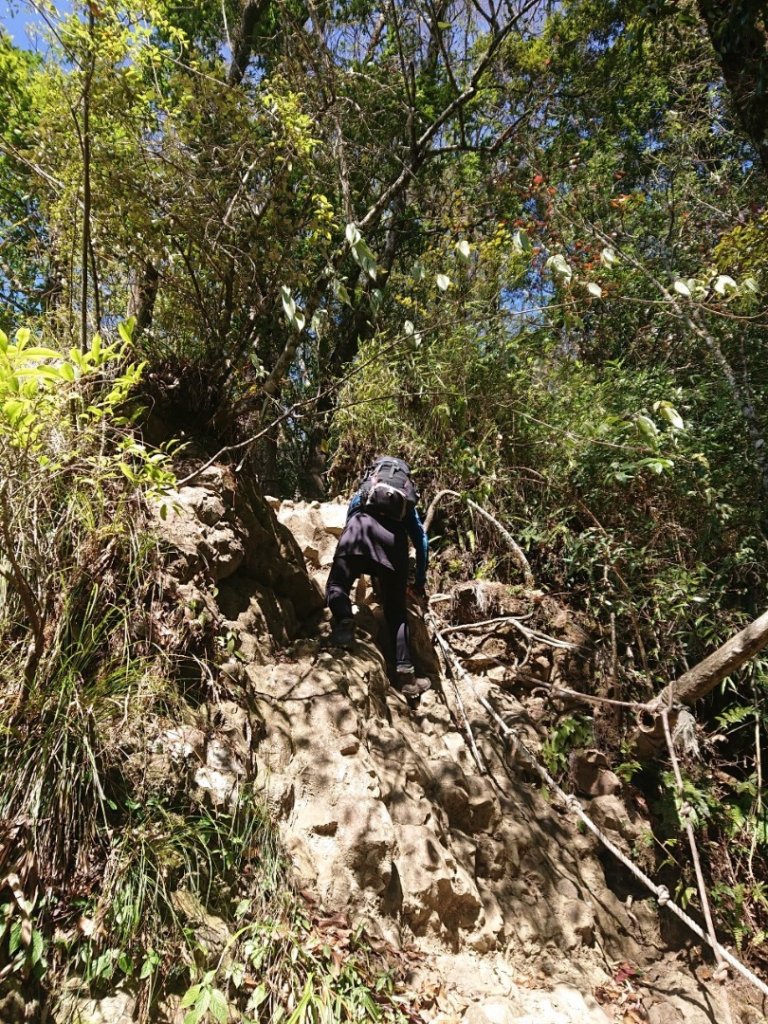 水漾森林、鹿屈山O走_2461738