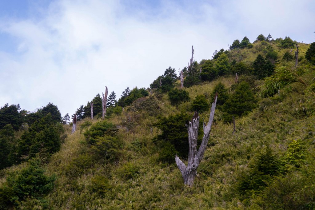 2019.4.2~3玉山主峰、西峰_588653