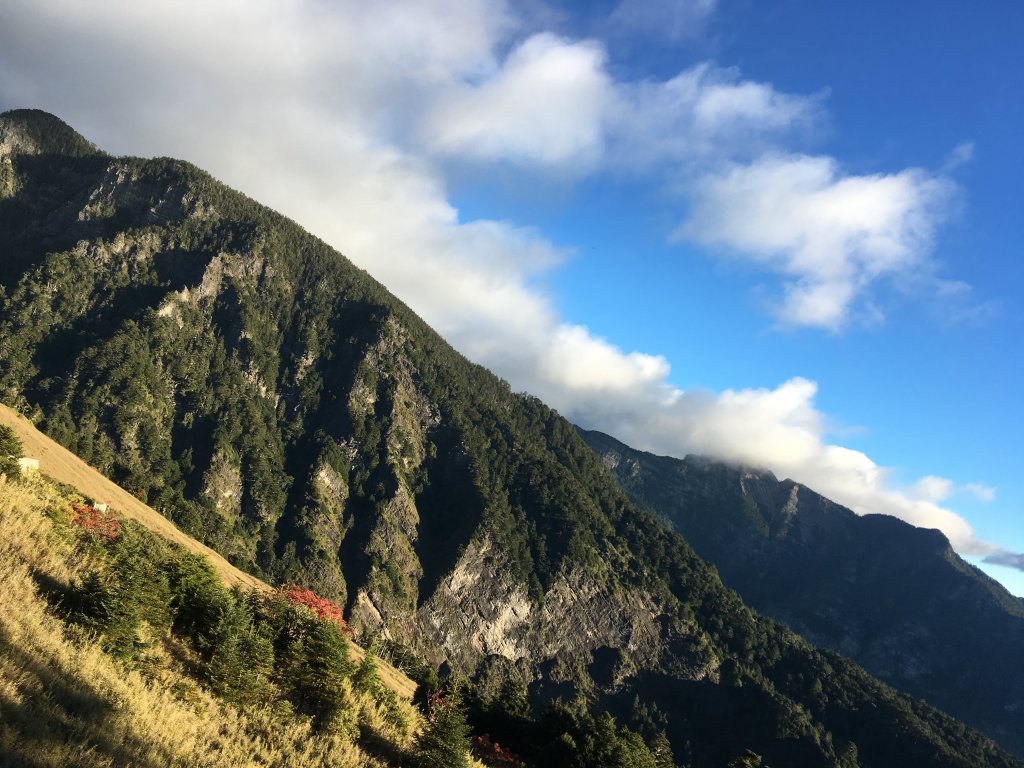 雪山 不下雪_533080