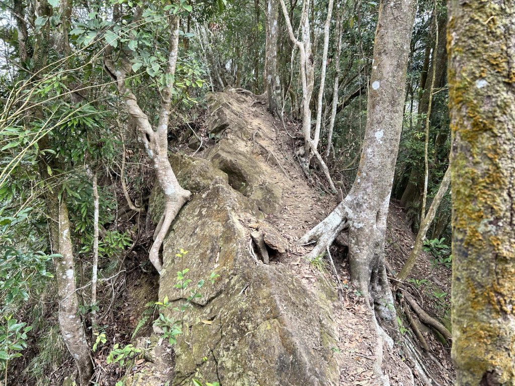 大橫屏山_2721464
