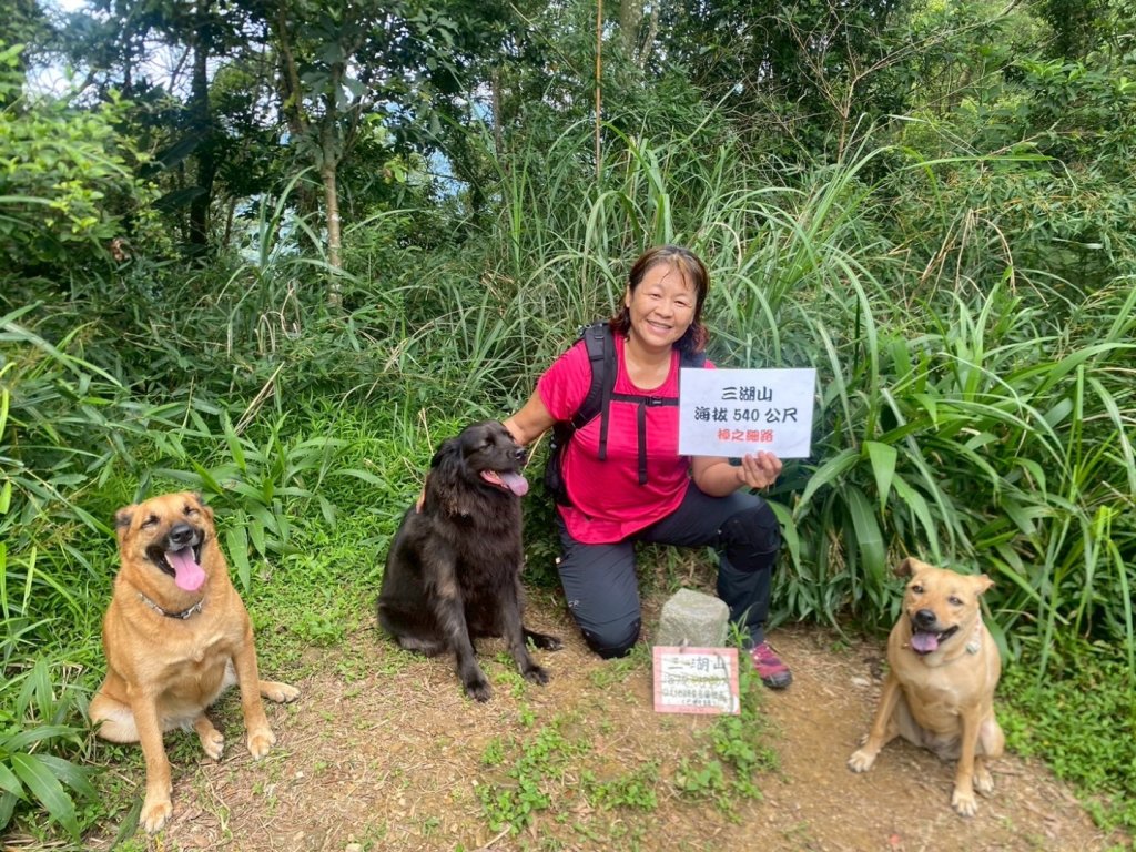苗栗縣獅潭鄉鳴凰古道O型縱走封面圖