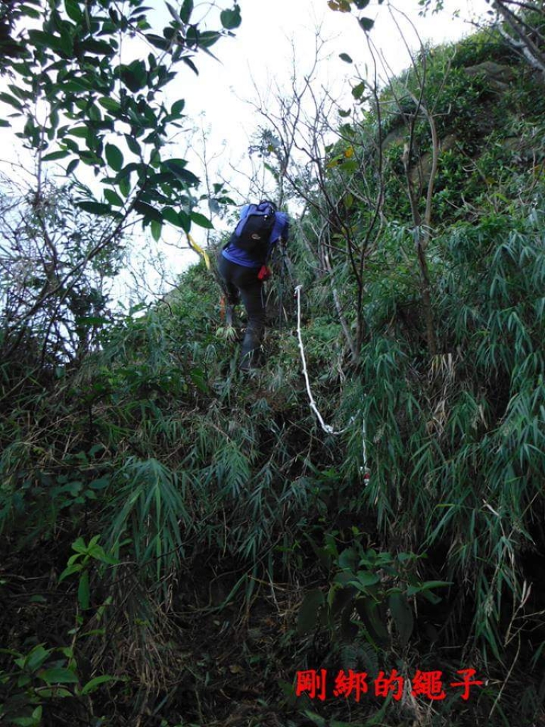 【新北／瑞芳】東北角黃金稜線、半平溪峽谷、三角尖峰、雙鬼小霸尖_23081