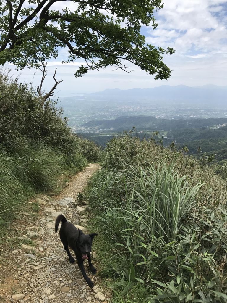 聖母山莊 三角崙山_126657