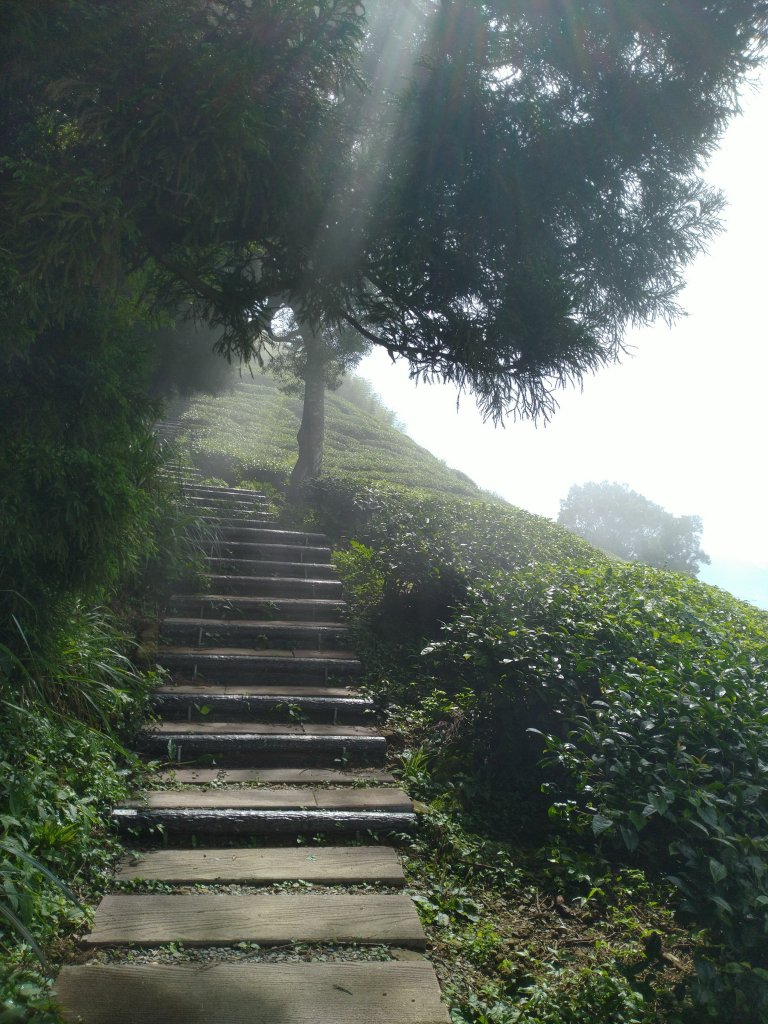 2023-05-28 雲嘉六連峰_2166209