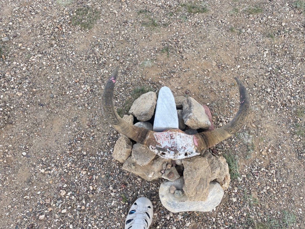 西藏♥️可愛動物🐎人物寫真/拉薩旅拍/美食_2902891