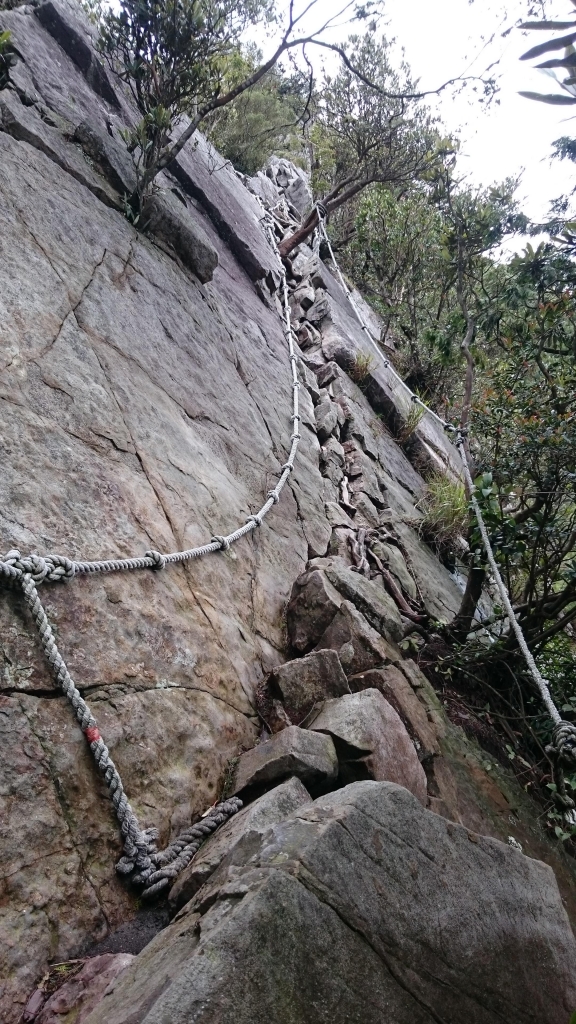 鳶嘴山步道_24423