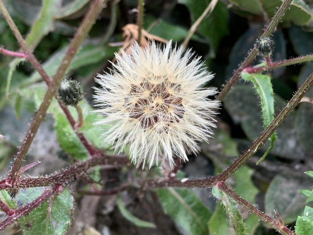 20231106高雄塔關山_2354068