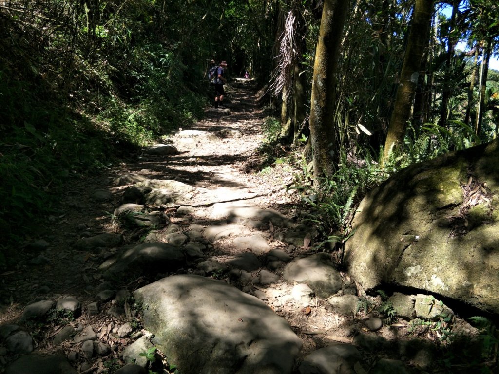 小百岳:台南大凍山 台南百大步道_1384172