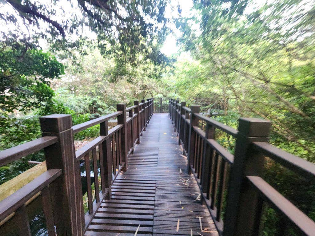20250921學田山王田山大肚山大尖山竹坑山_2928456