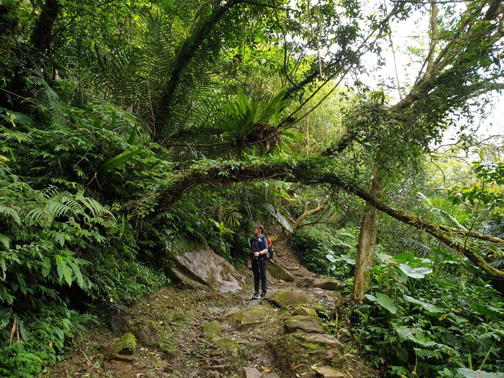 新北 淡蘭古道中路2/3 (柑腳－外澳車站)_1347891