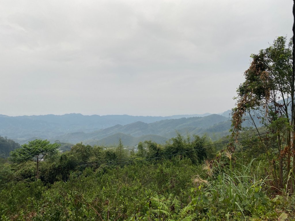 037苗栗泰安-馬那邦山_2604648