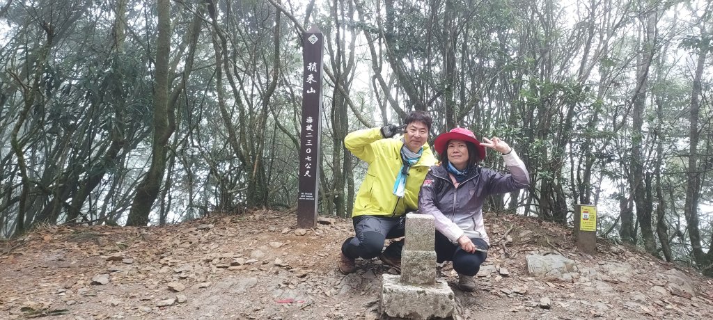 台中 鳶嘴稍來山O繞+稍來神木_2989537