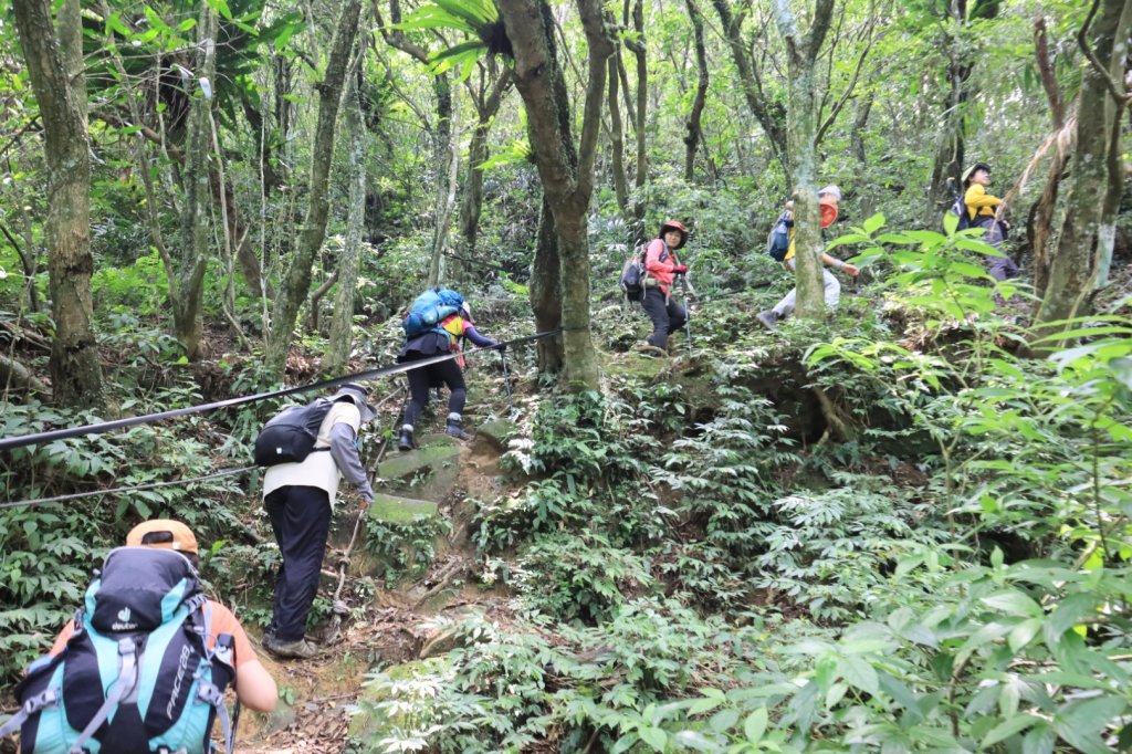 福卯古道-雪山尾稜北段-隆嶺古道_2800016