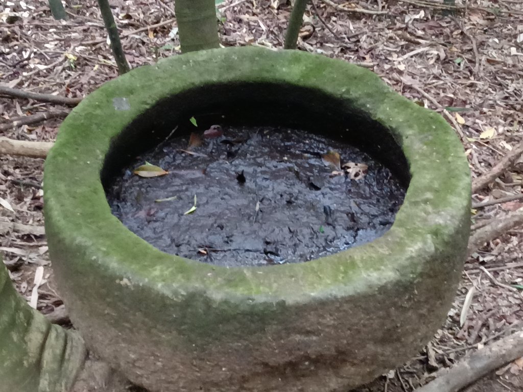 貢寮區蚊子坑古道+和美池+和美山+北勢坑古道_2990887