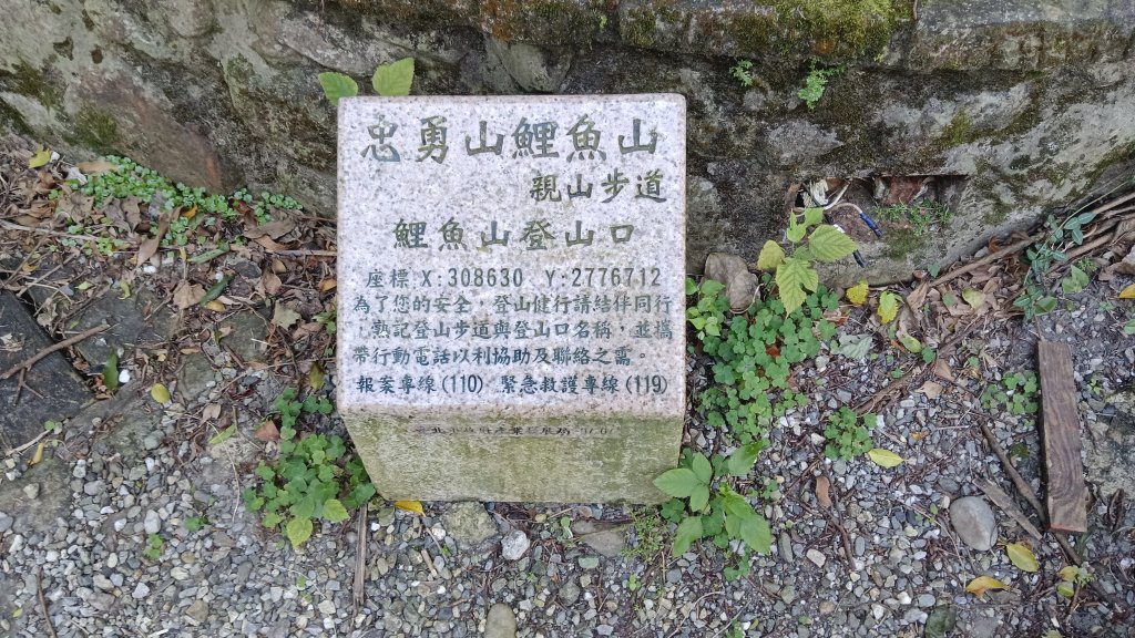 大崙頭尾山下大湖公園_2114377