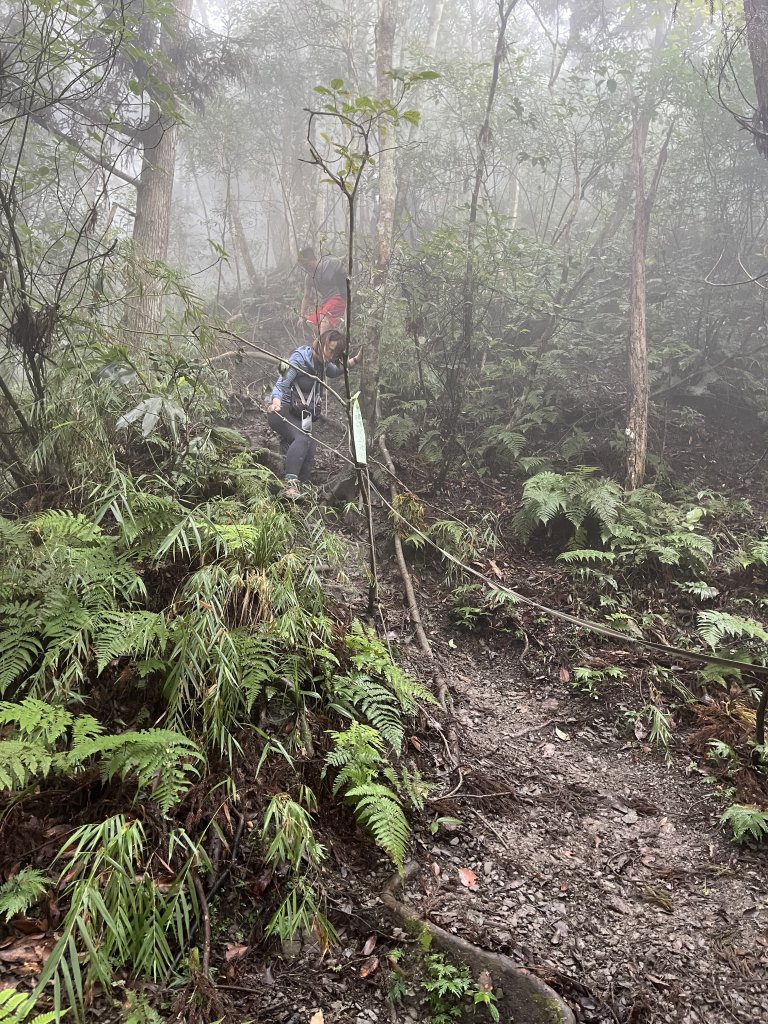 20231021向天湖山_2582945