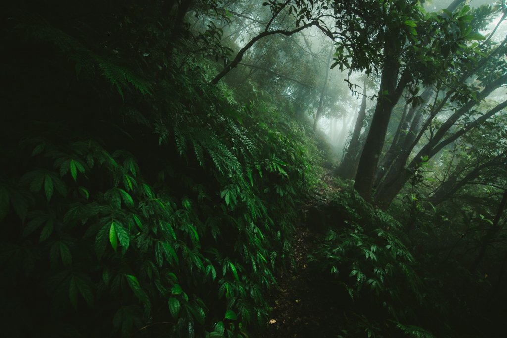 阿里磅瀑布_564889