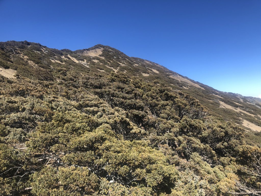 2021_0317_玉山後四峰_1961718