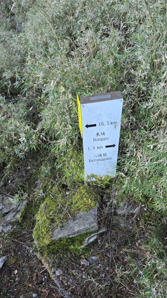 20241124-1130 南二段10座百岳_2665655