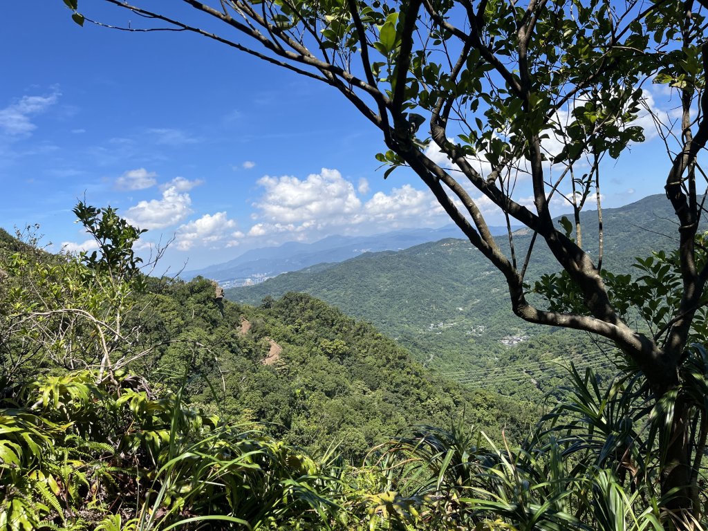 [微笑山線_第九段] 2025_0914 二格山系_天王峰_2889546