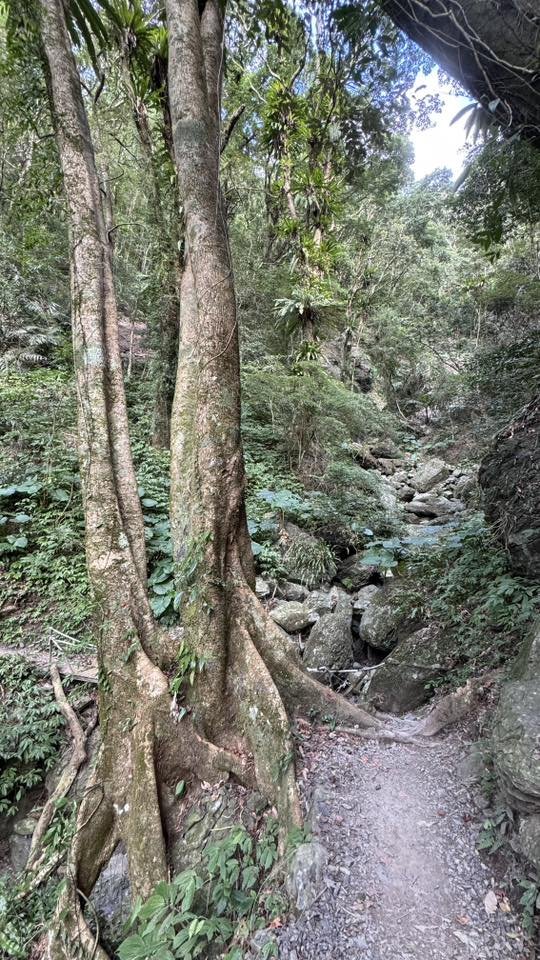 20260117三峽雲森瀑布_2990326