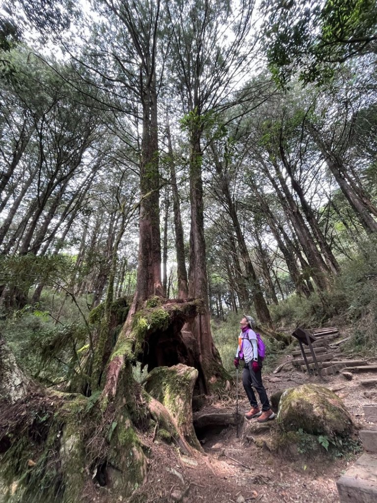 小百岳最高峰-大塔山_2153650