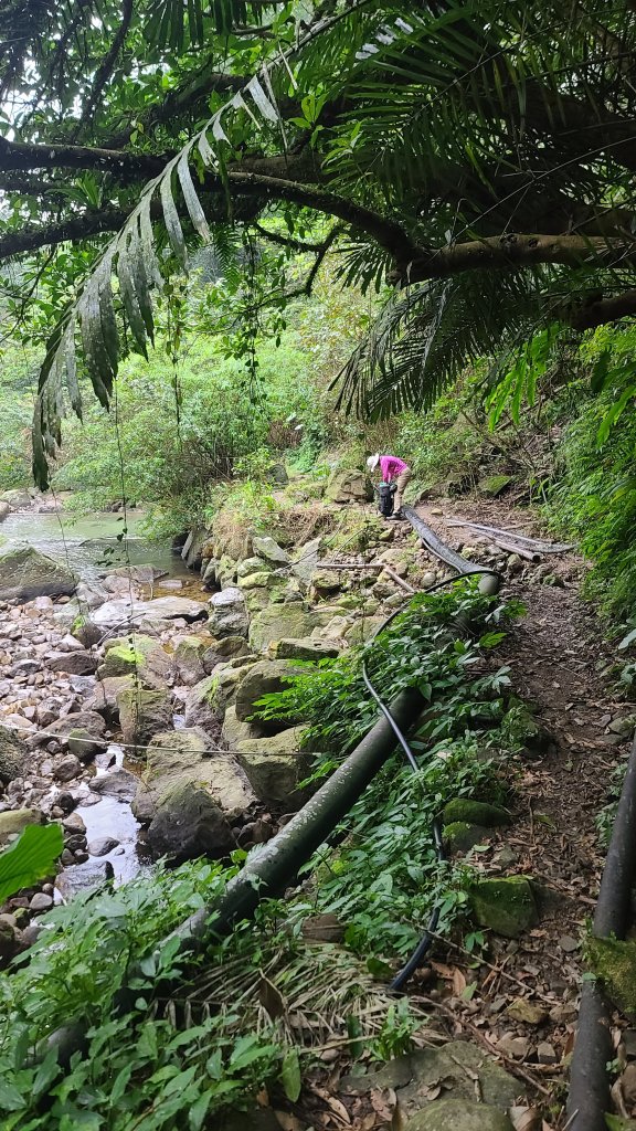 2025-01232淡蘭古道北二段(燦光寮古道到澳底)_2696559