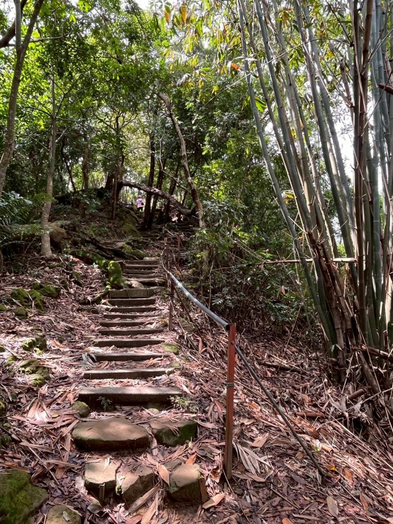 2025/3/16南觀音山封面圖