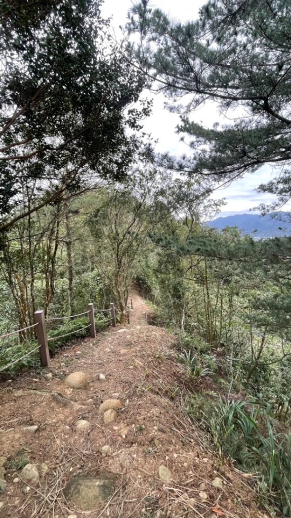 苗栗三義銅鑼三員縱走-三角山-員屯山_2650234