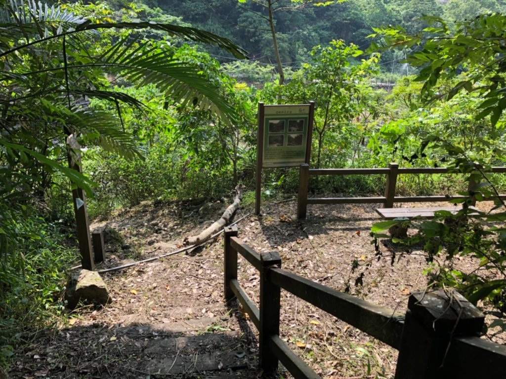 達娜伊谷走里美避難歩道、巨石坂步道_690750