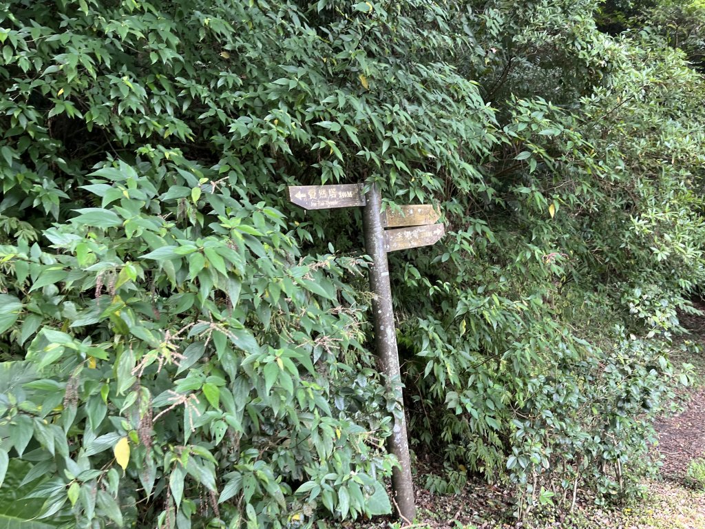 [皮皮獅Hike客任務-04/10] 2024_0721 獅山古道_2557497