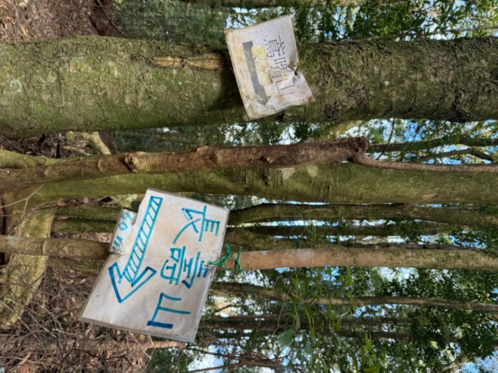 鳶嘴西稜上鳶嘴山-醜崠三崠山連走_2652210